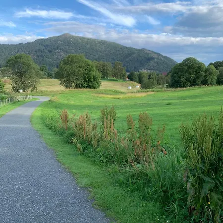 Moderne Hus - Sentralt, Rolig Med Gratis Parkering アパート ベルゲン